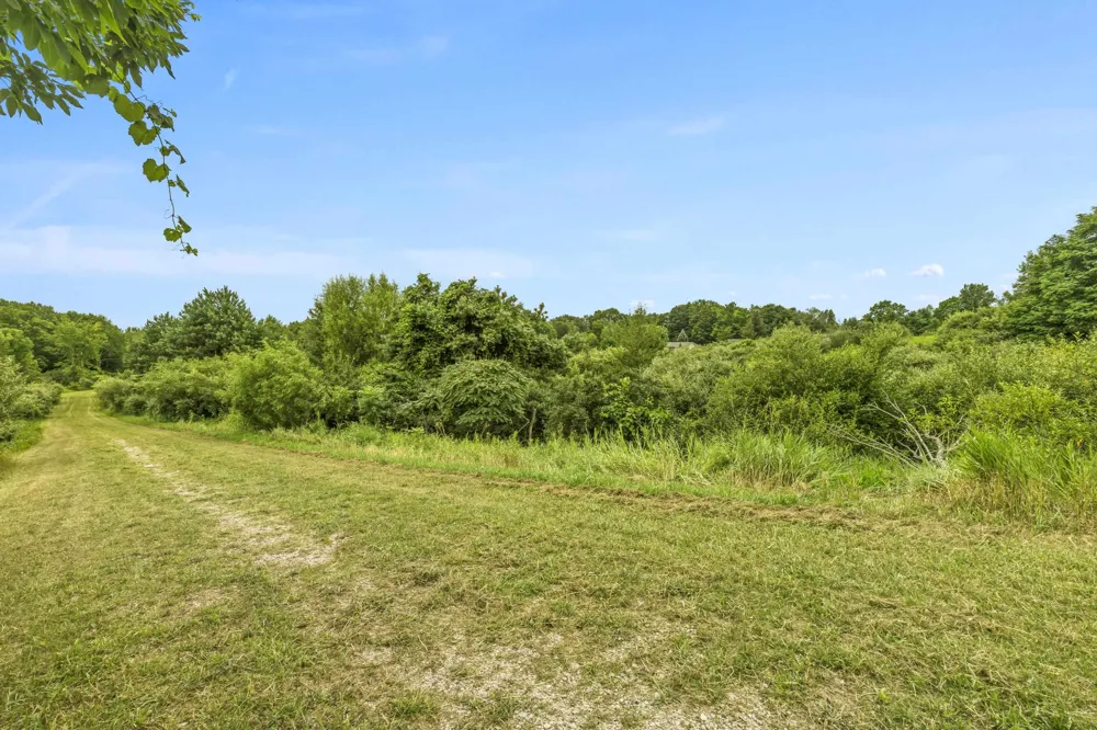 Lake Street Benzonia Township, MI 49616