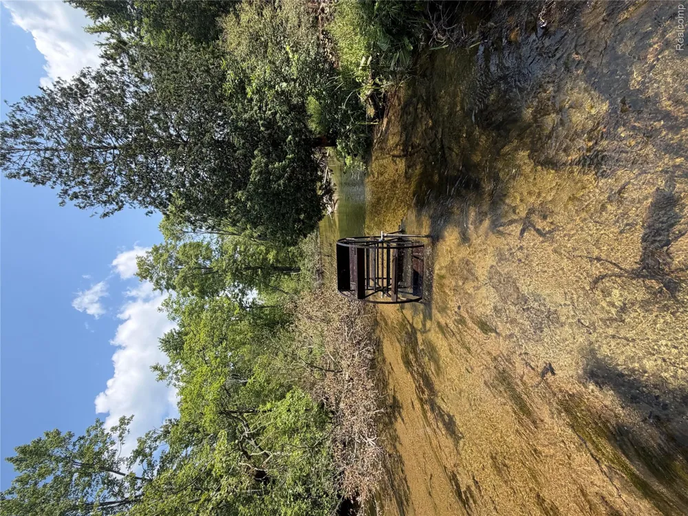 9670 S County Line Road Stronach Township, MI 49660