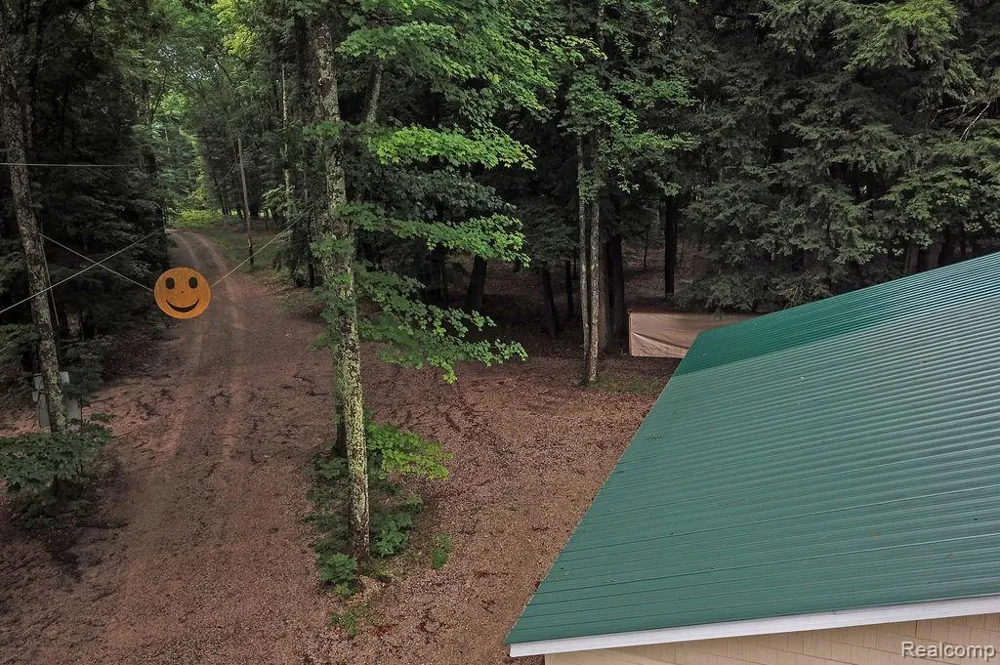 9670 S County Line Road Stronach Township, MI 49660