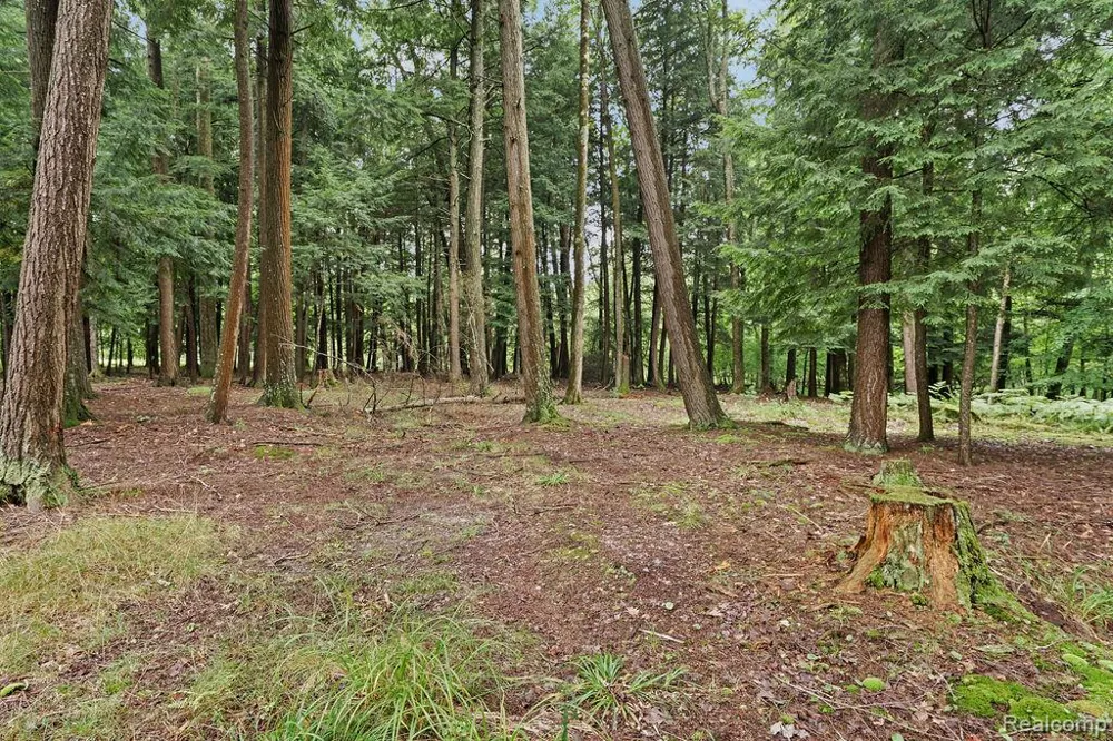 9670 S County Line Road Stronach Township, MI 49660