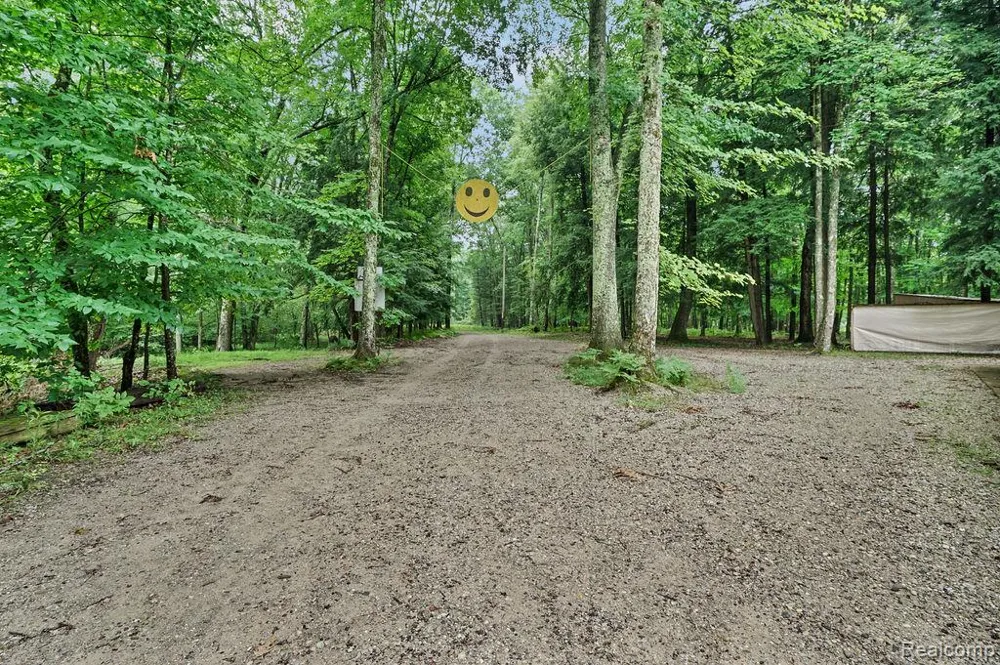 9670 S County Line Road Stronach Township, MI 49660