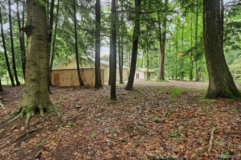 9670 S County Line Road Stronach Township, MI 49660