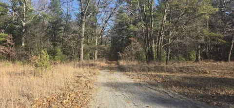 W Cedar Road