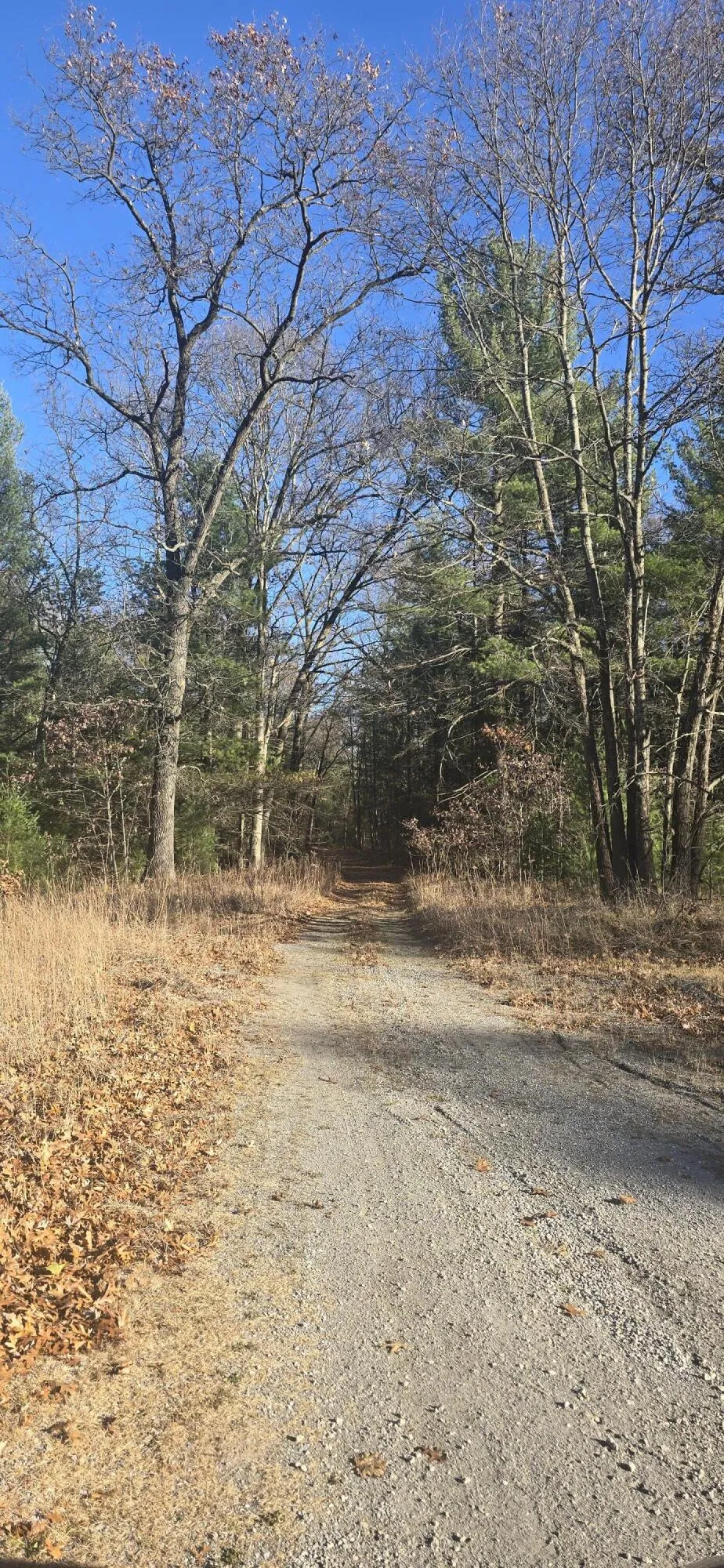 W Cedar Road Twin Lake, MI 49457