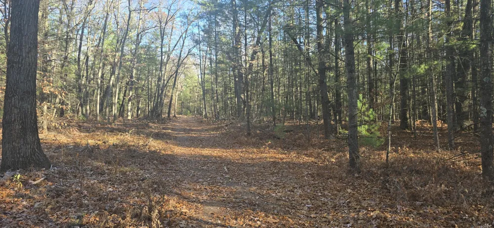 W Cedar Road Twin Lake, MI 49457
