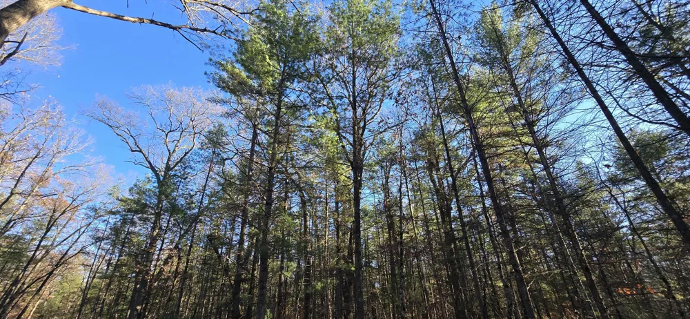 W Cedar Road Twin Lake, MI 49457