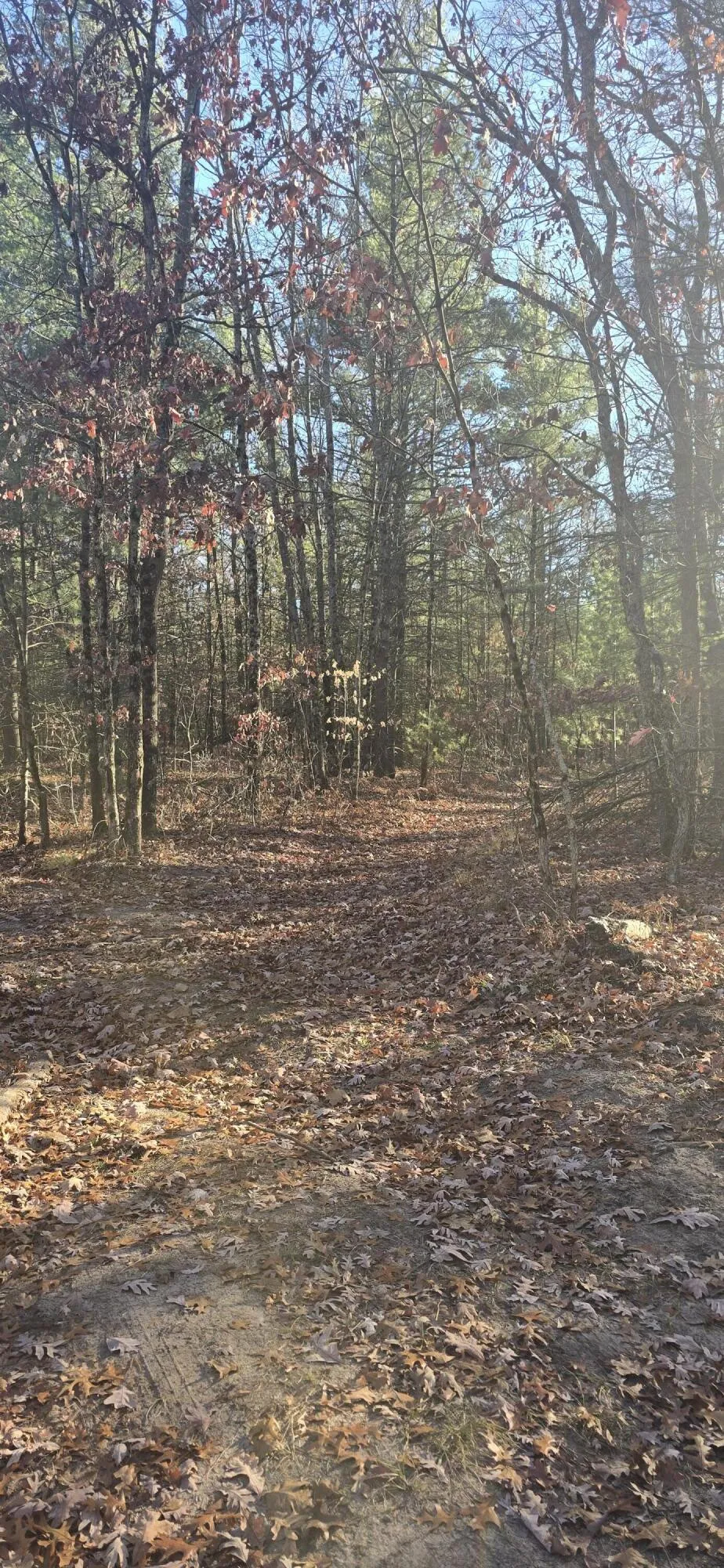 W Cedar Road Twin Lake, MI 49457