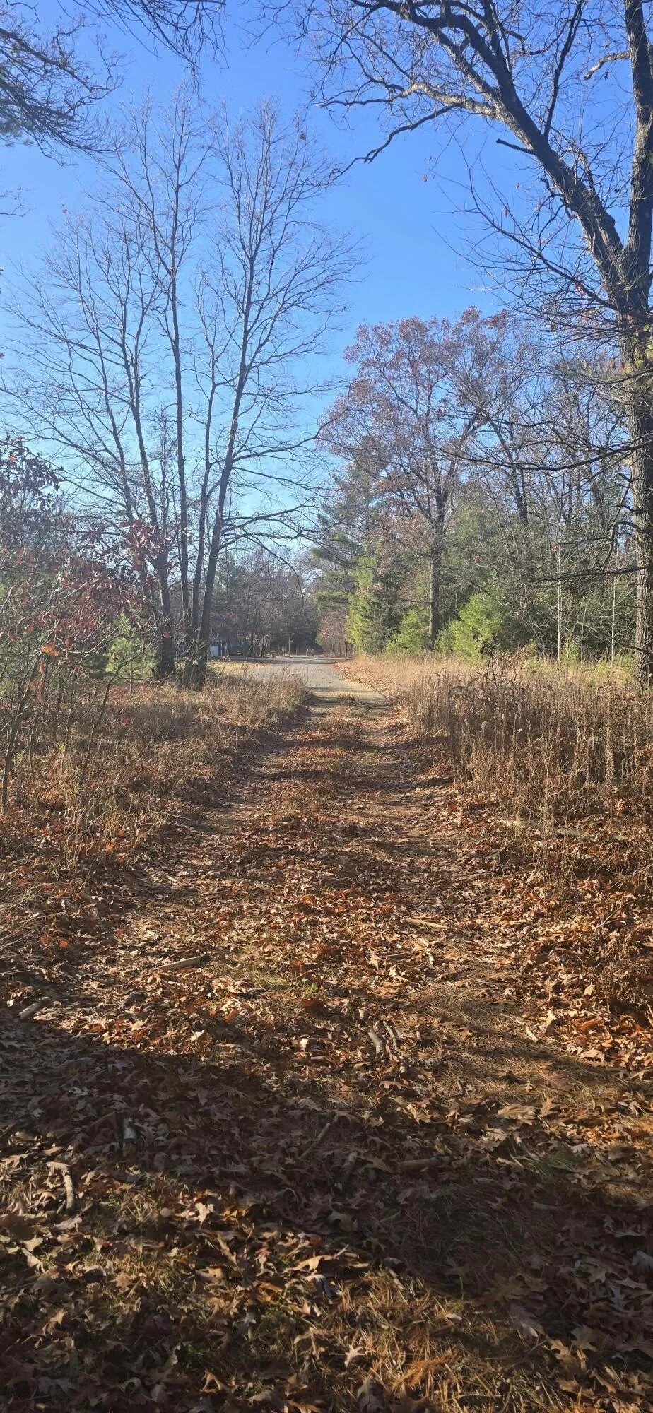 W Cedar Road Twin Lake, MI 49457