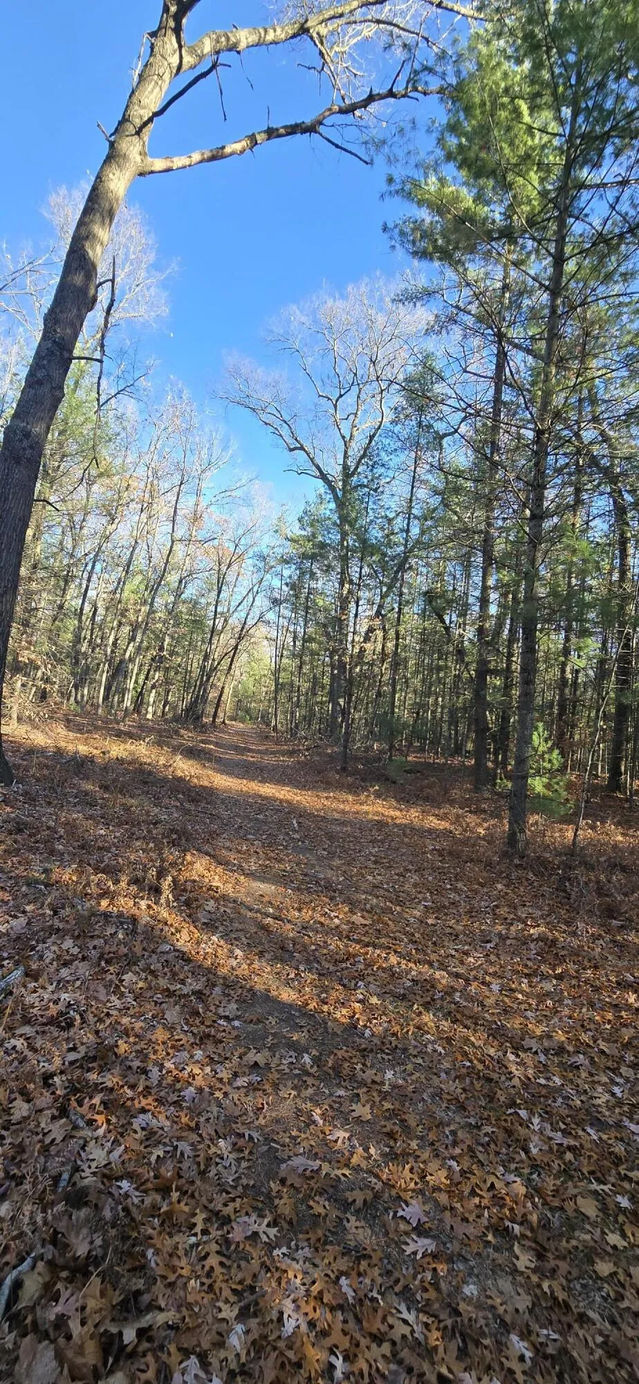W Cedar Road Twin Lake, MI 49457