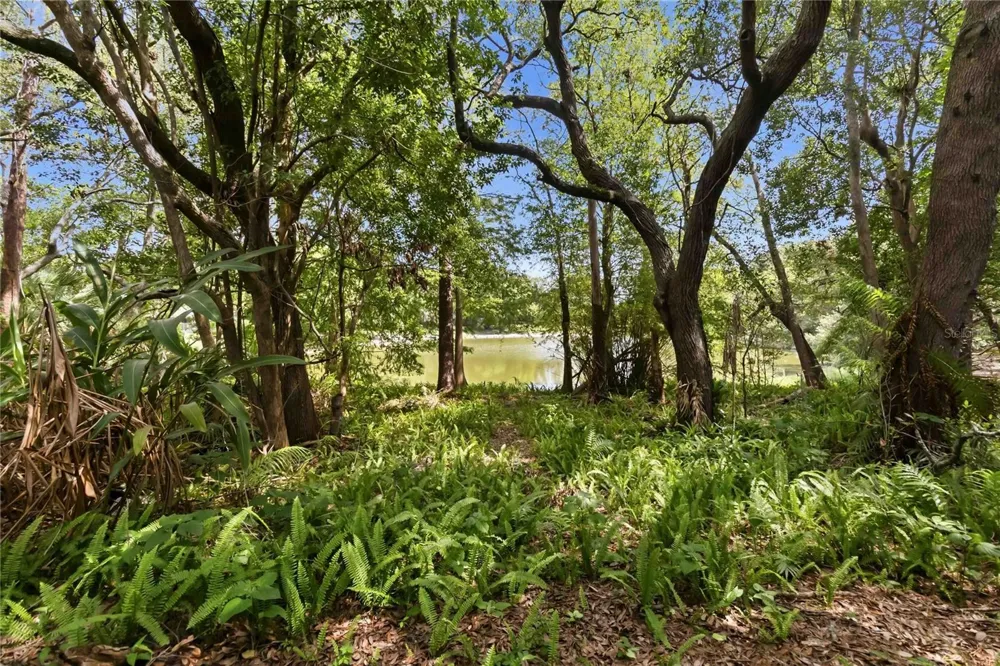 4008 W MARYLAND PLACE Casselberry, FL 32707