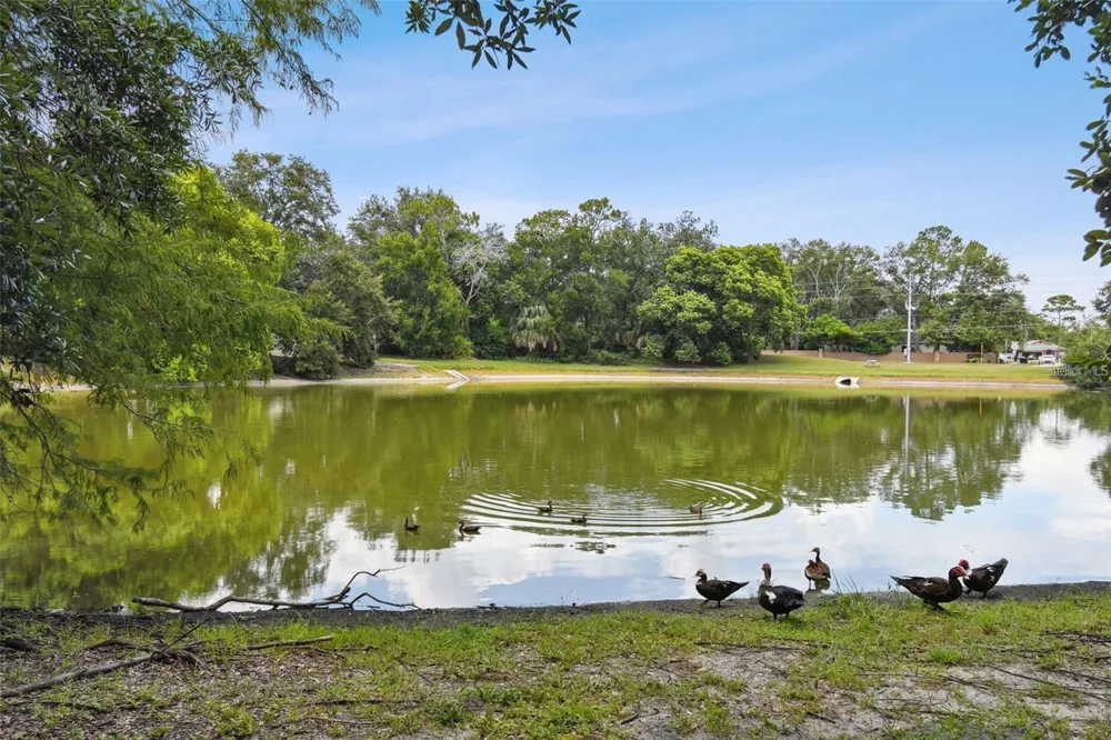 4008 W MARYLAND PLACE Casselberry, FL 32707