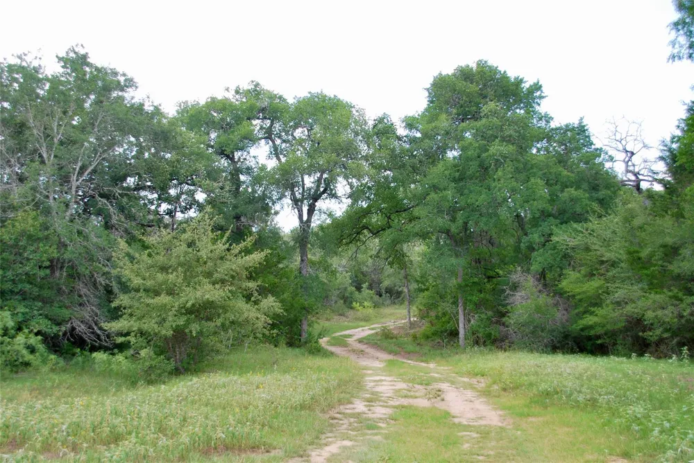Cr 420 Waelder, TX 78959