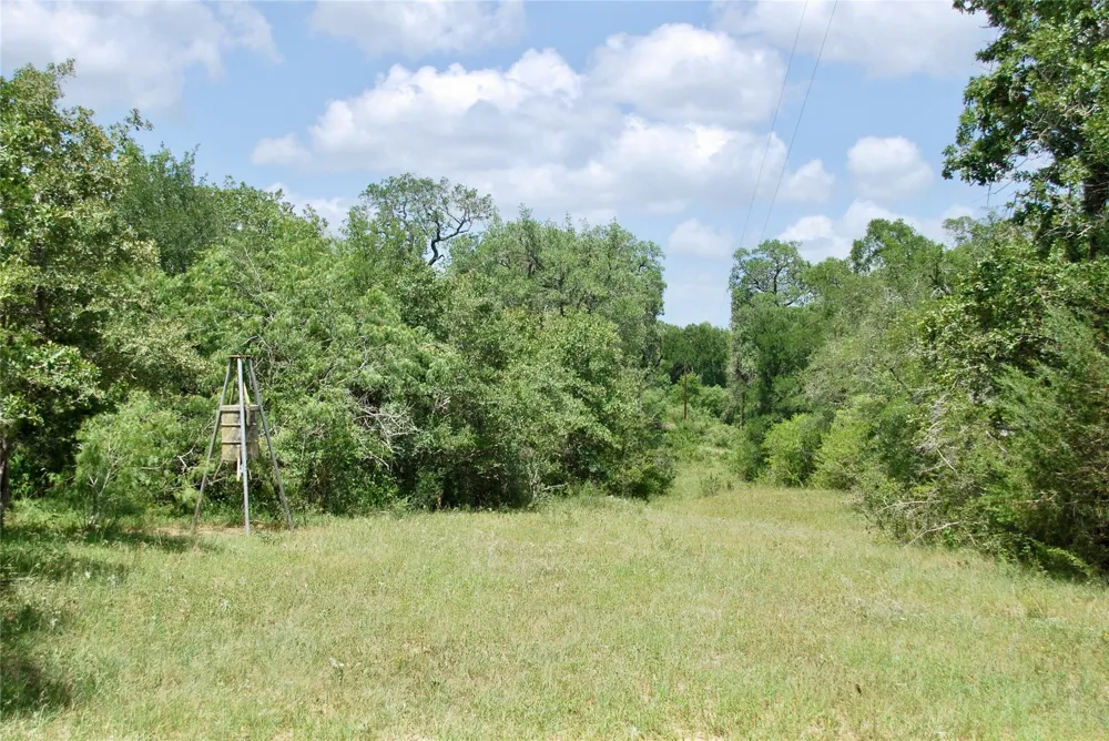 Cr 420 Waelder, TX 78959