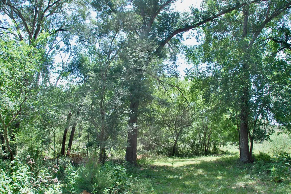 Cr 420 Waelder, TX 78959