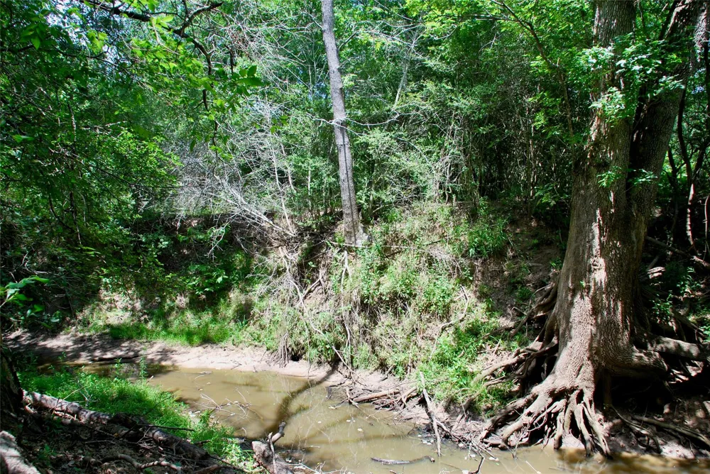 Cr 420 Waelder, TX 78959