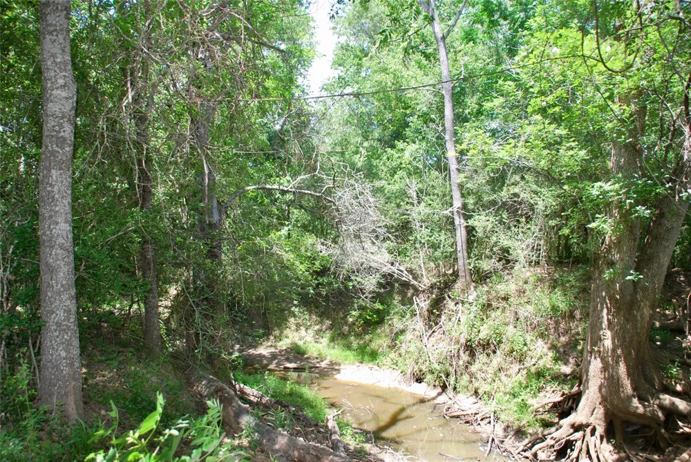 Cr 420 Waelder, TX 78959