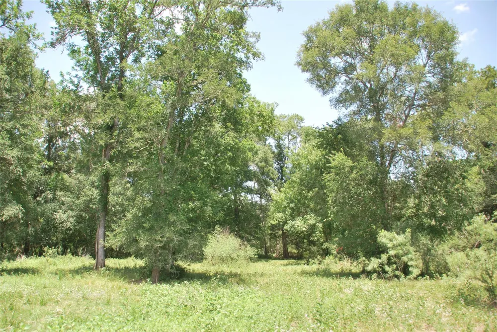 Cr 420 Waelder, TX 78959