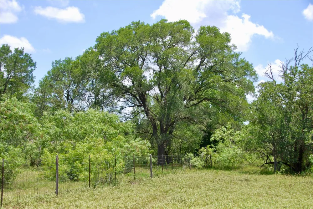 Cr 420 Waelder, TX 78959