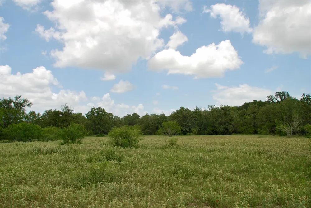 Cr 420 Waelder, TX 78959