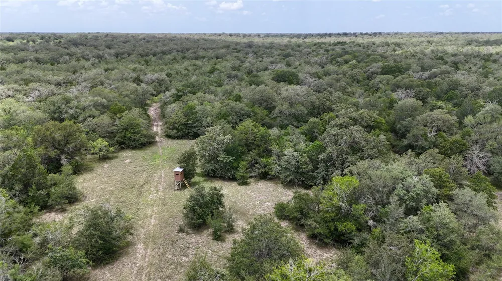 Cr 420 Waelder, TX 78959