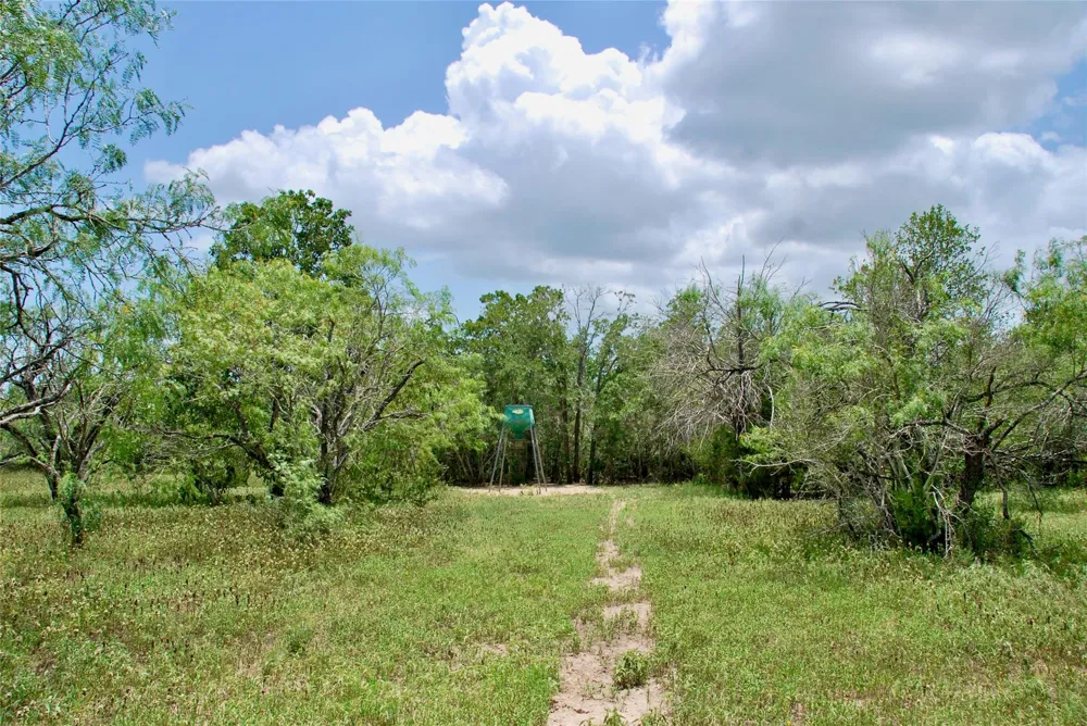 Cr 420 Waelder, TX 78959