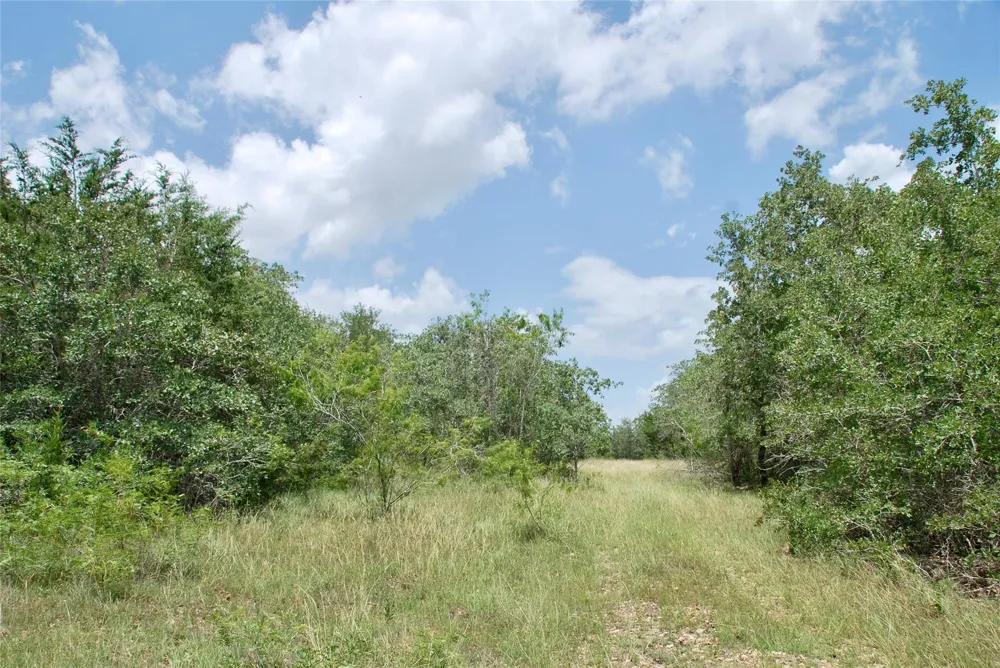 Cr 420 Waelder, TX 78959