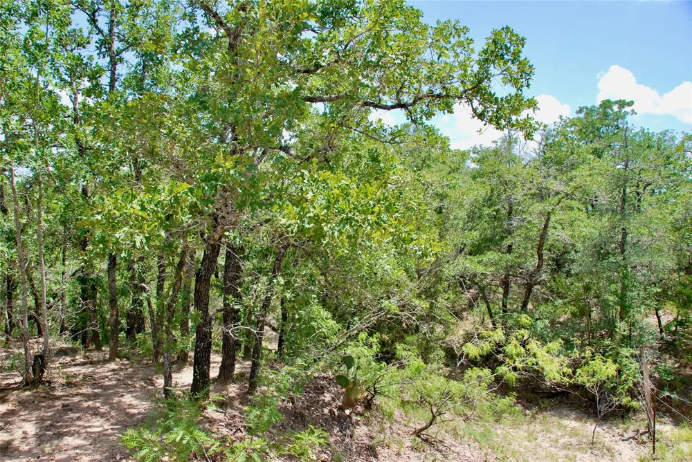 Cr 420 Waelder, TX 78959
