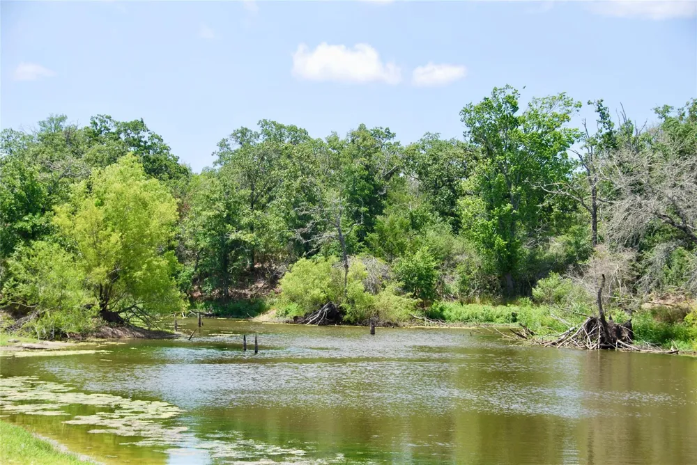 Cr 420 Waelder, TX 78959