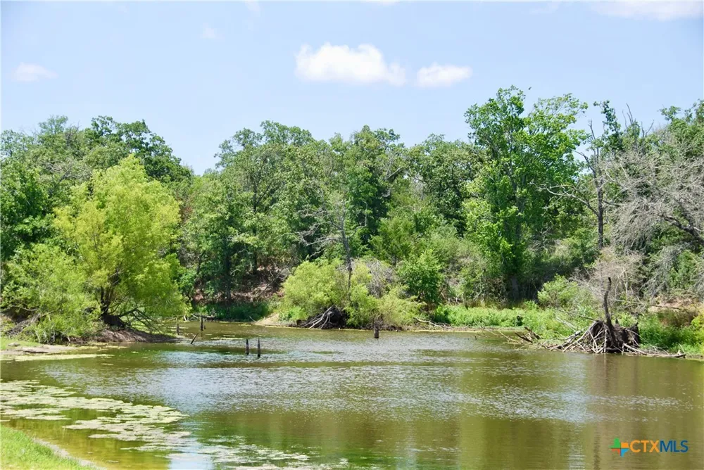 Cr 420 Waelder, TX 78959