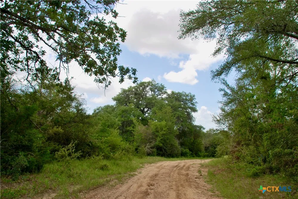 Cr 420 Waelder, TX 78959