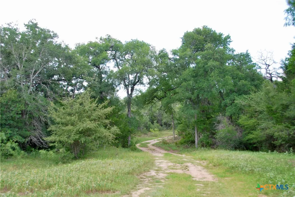 Cr 420 Waelder, TX 78959
