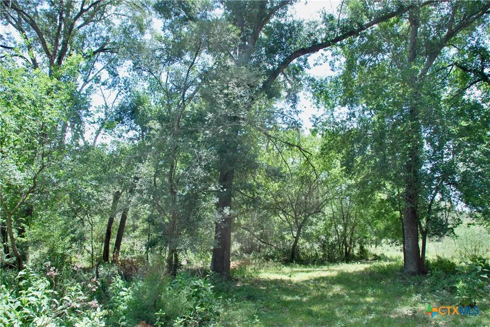 Cr 420 Waelder, TX 78959