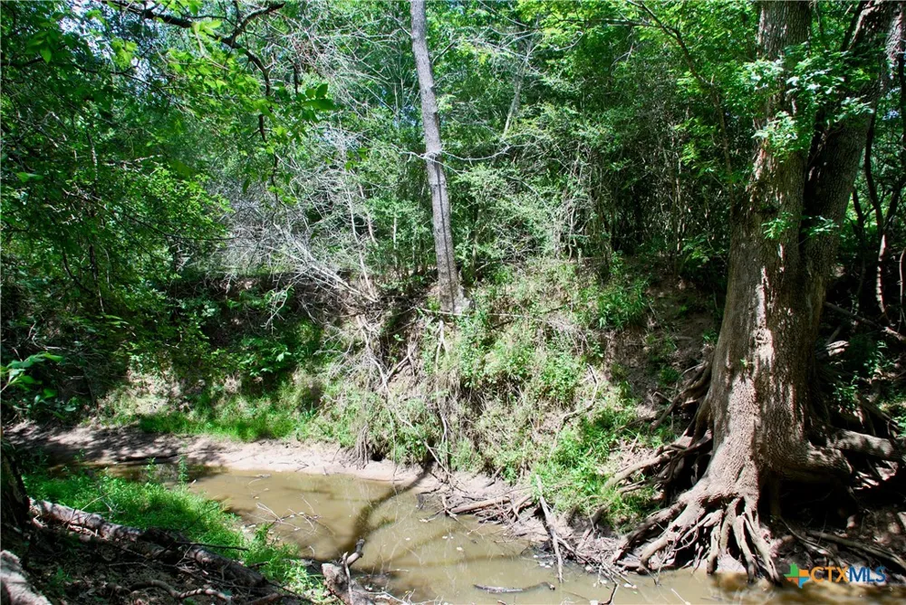 Cr 420 Waelder, TX 78959
