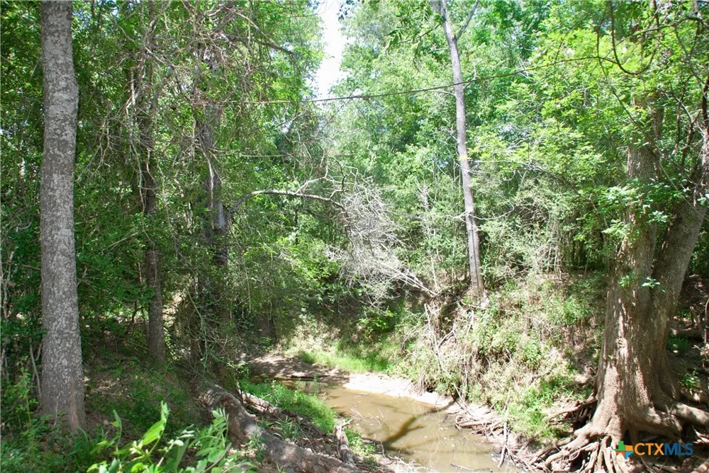 Cr 420 Waelder, TX 78959