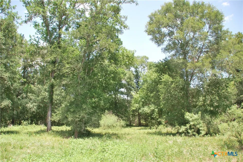 Cr 420 Waelder, TX 78959