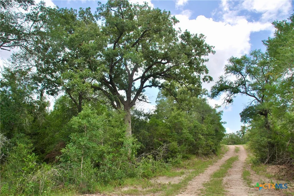 Cr 420 Waelder, TX 78959