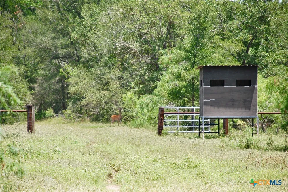 Cr 420 Waelder, TX 78959