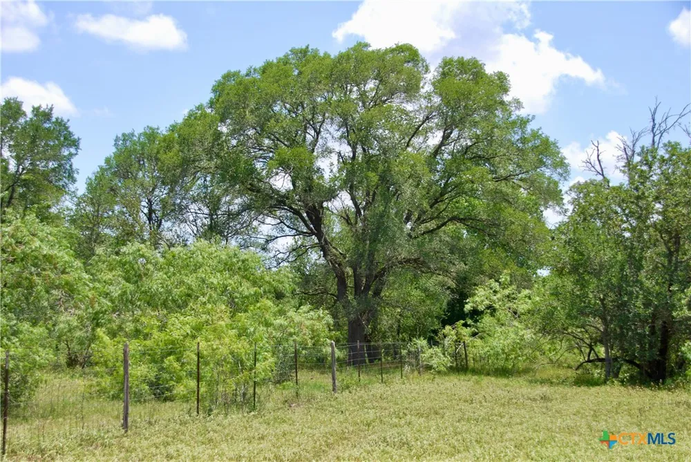 Cr 420 Waelder, TX 78959