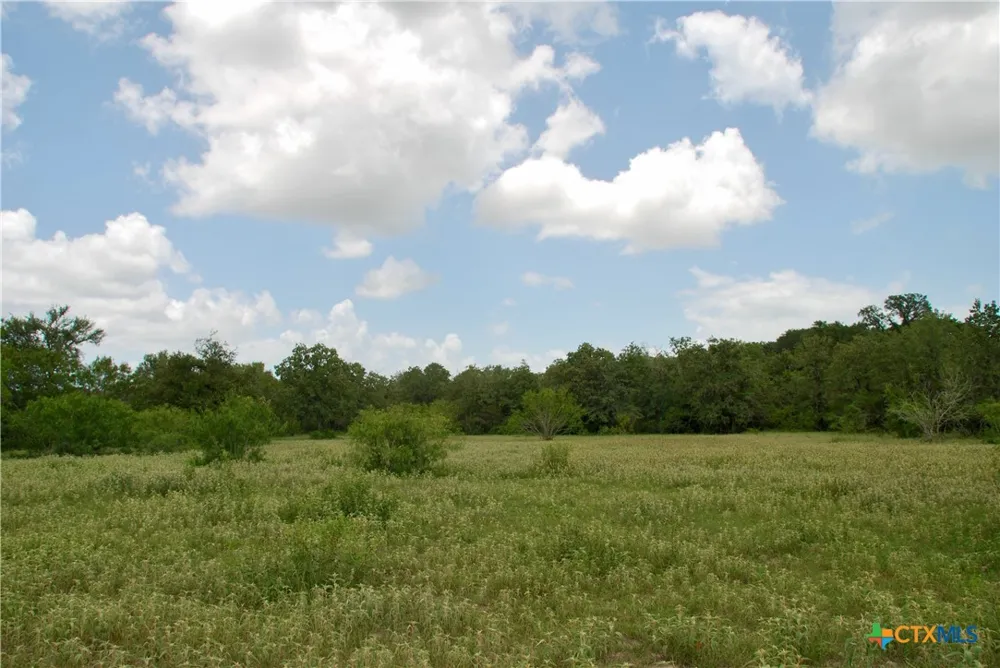 Cr 420 Waelder, TX 78959