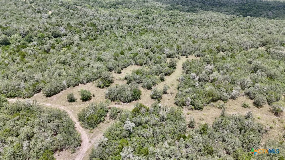 Cr 420 Waelder, TX 78959