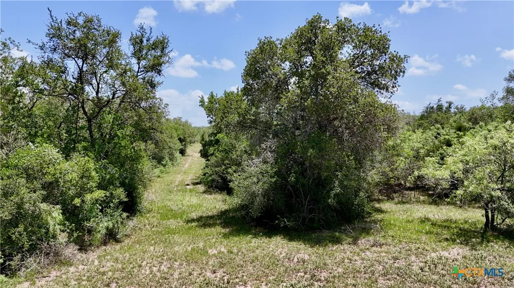 Cr 420 Waelder, TX 78959
