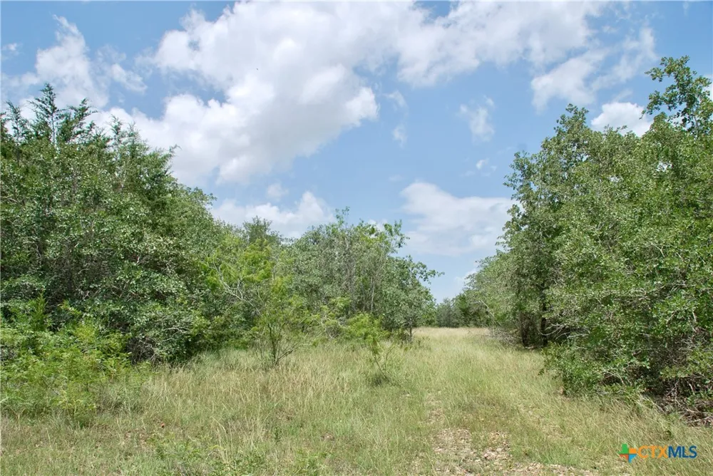 Cr 420 Waelder, TX 78959