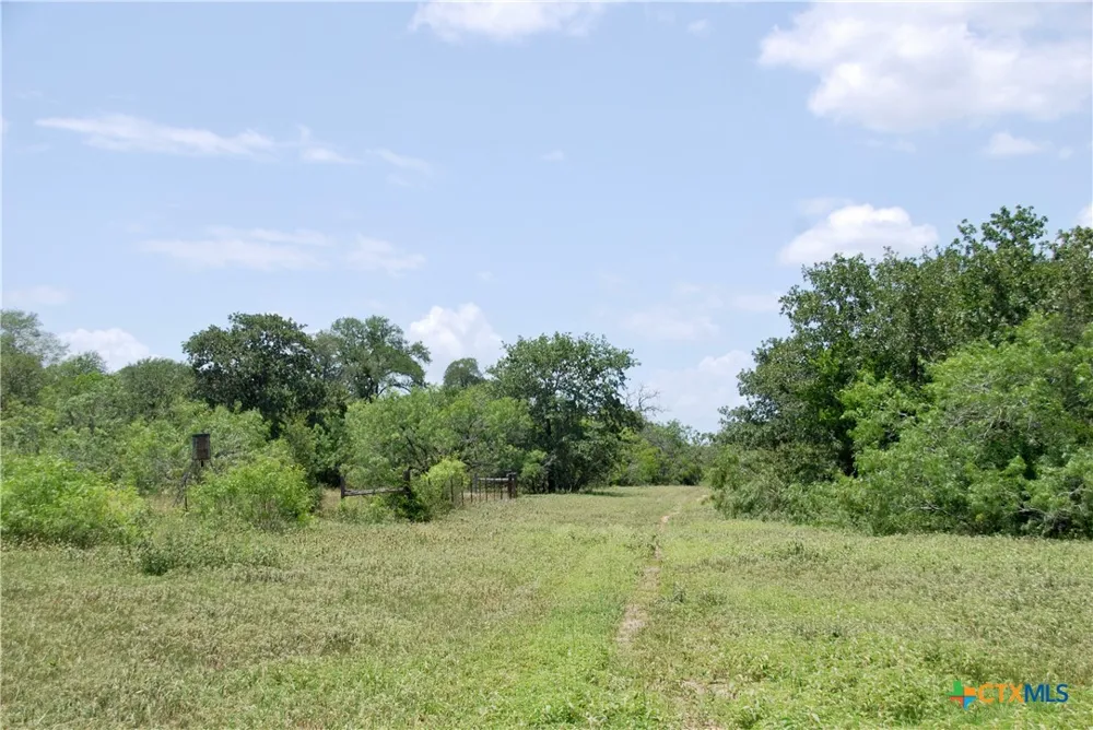 Cr 420 Waelder, TX 78959