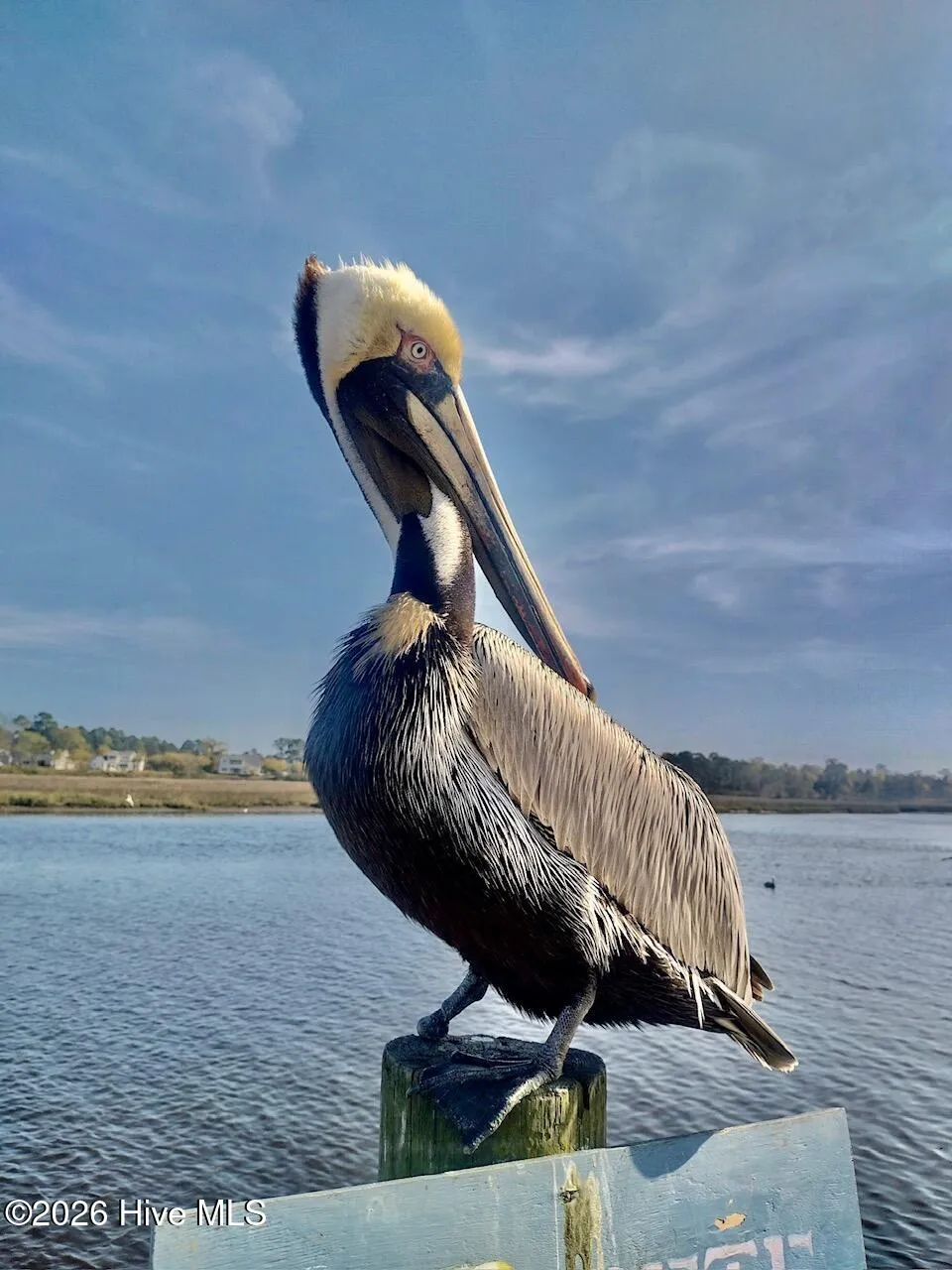 221 Woodlands Way #Unit 16 Calabash, NC 28467