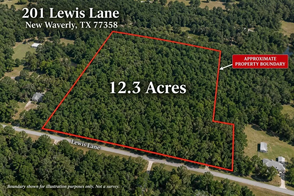 201 Lewis Lane New Waverly, TX 77358