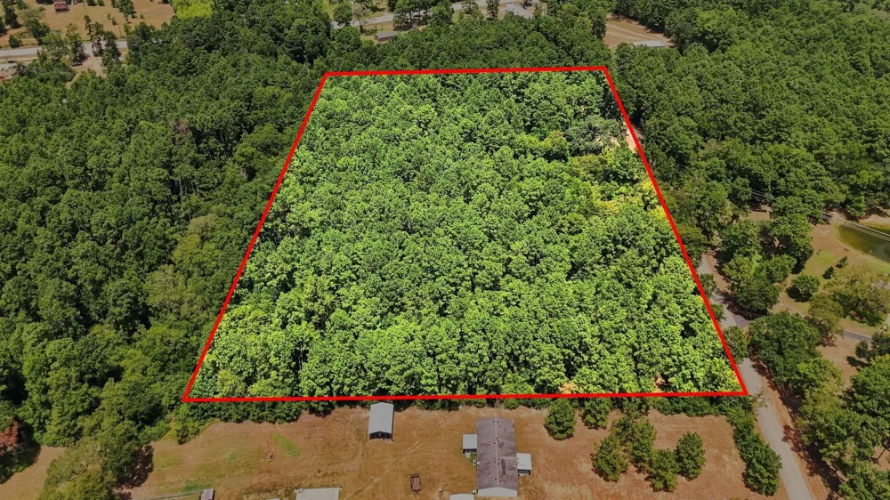 201 Lewis Lane New Waverly, TX 77358