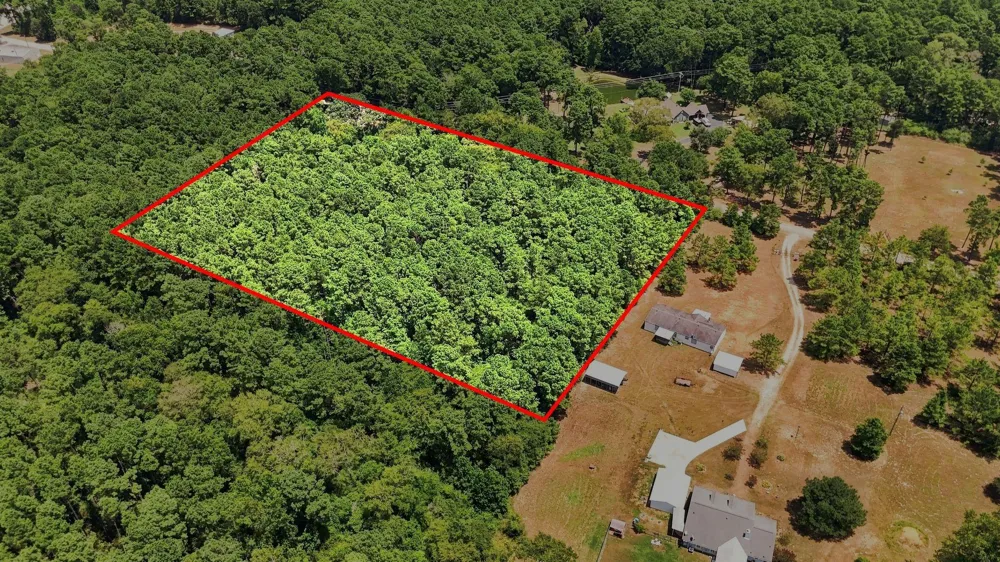 201 Lewis Lane New Waverly, TX 77358