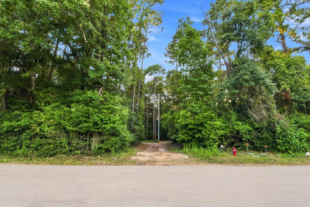 201 Lewis Lane New Waverly, TX 77358