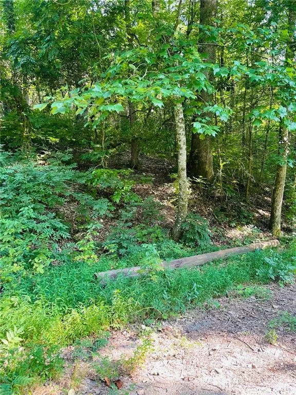 4092 Helen Highway Cleveland, GA 30528