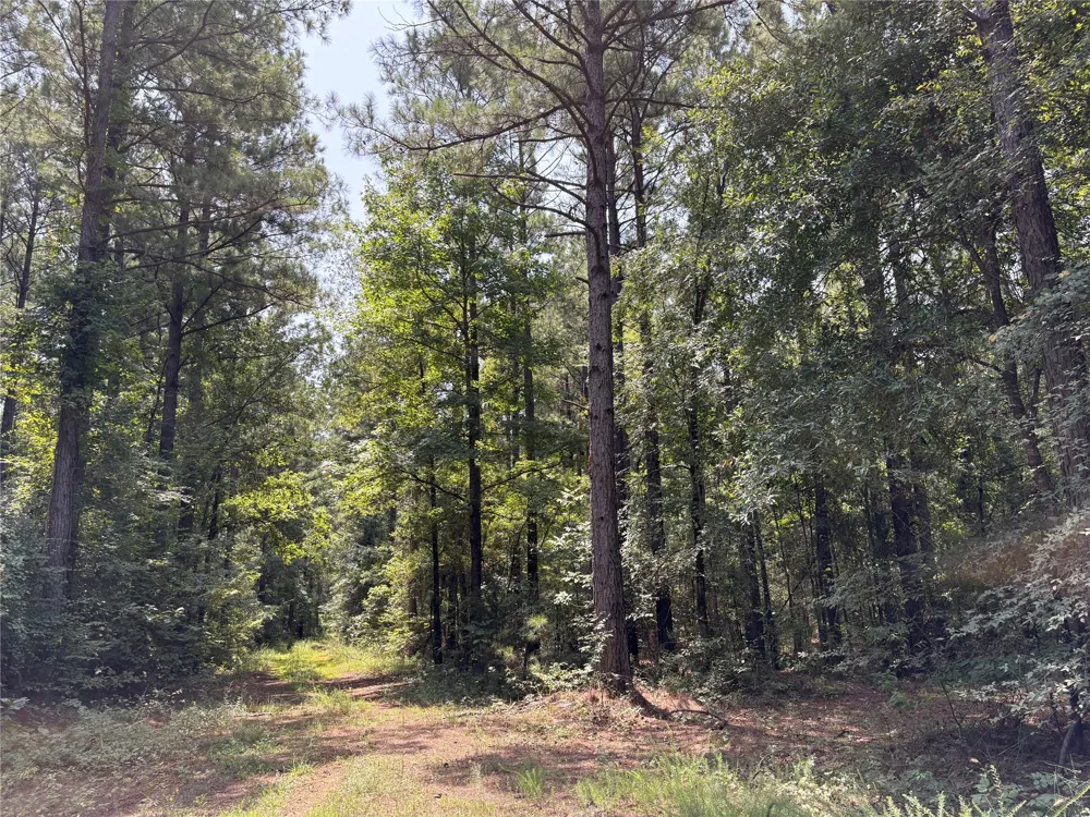 Moran Street Haughton, LA 71037